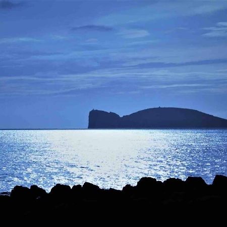 Alghero Sun & Sea - Spiaggia A 50 Metri Exterior photo