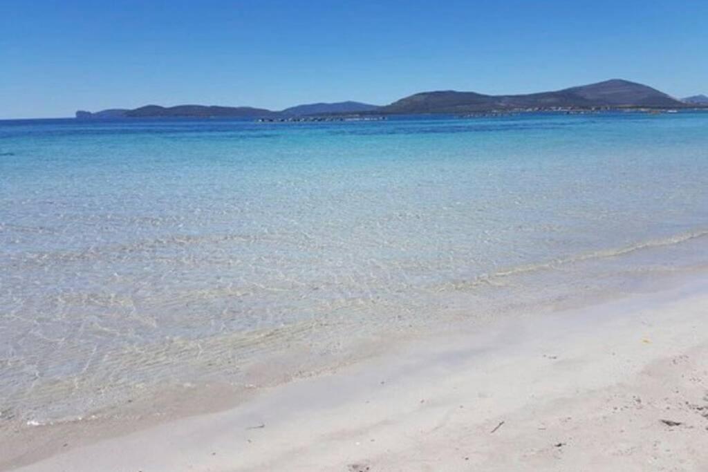 Alghero Sun & Sea - Spiaggia A 50 Metri Exterior photo